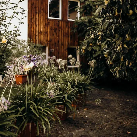 Apartament Klosterhof Weingut Boudierkoeller *