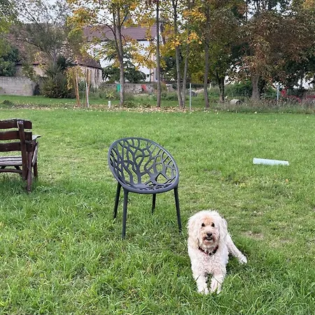 Klosterhof Weingut Boudierkoeller
