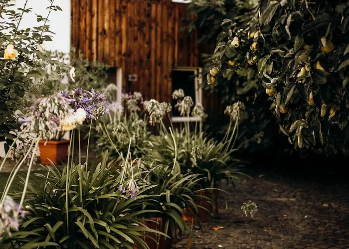 Lägenhet Klosterhof Weingut Boudierkoeller *