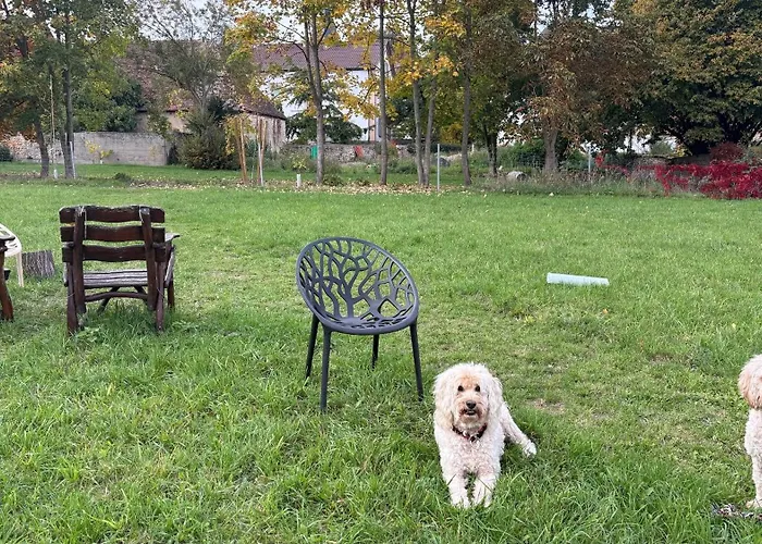 Klosterhof Weingut Boudierkoeller