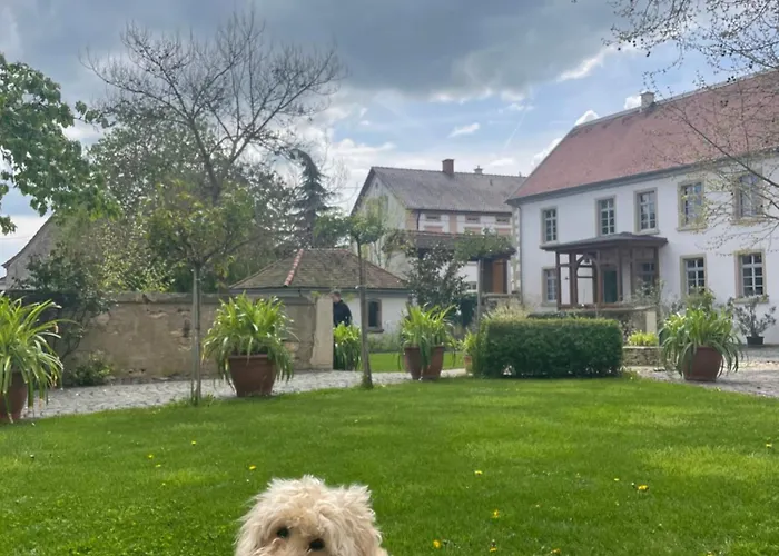 Klosterhof Weingut Boudierkoeller